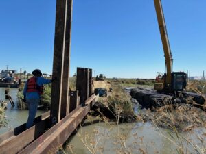 Chipps Island Tidal Habitat Restoration