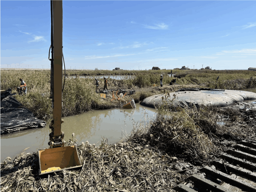 2025 IPI Award Winner Chipps Island Tidal Habitat Restoration Project - Phase 2B
